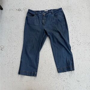 Eileen Fisher Dark Blue Ankle Jeans Size 1x